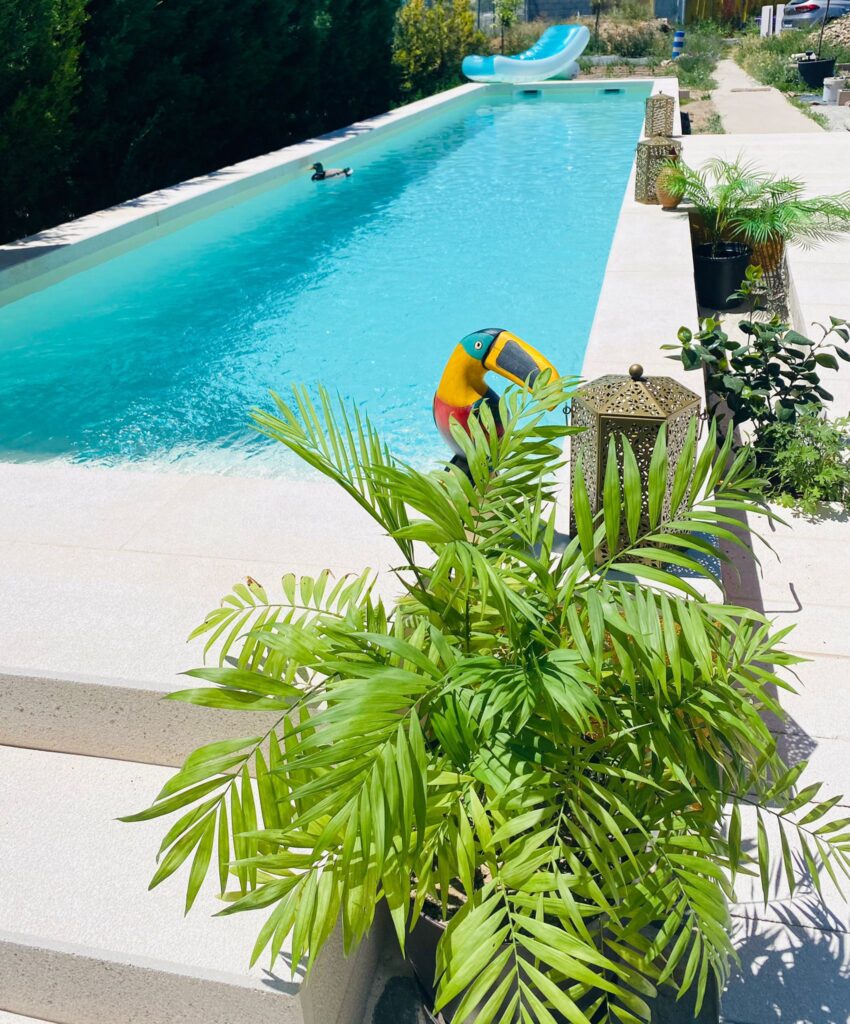 WhatsApp Image 2026-04-06 at 19.10.43 (1)